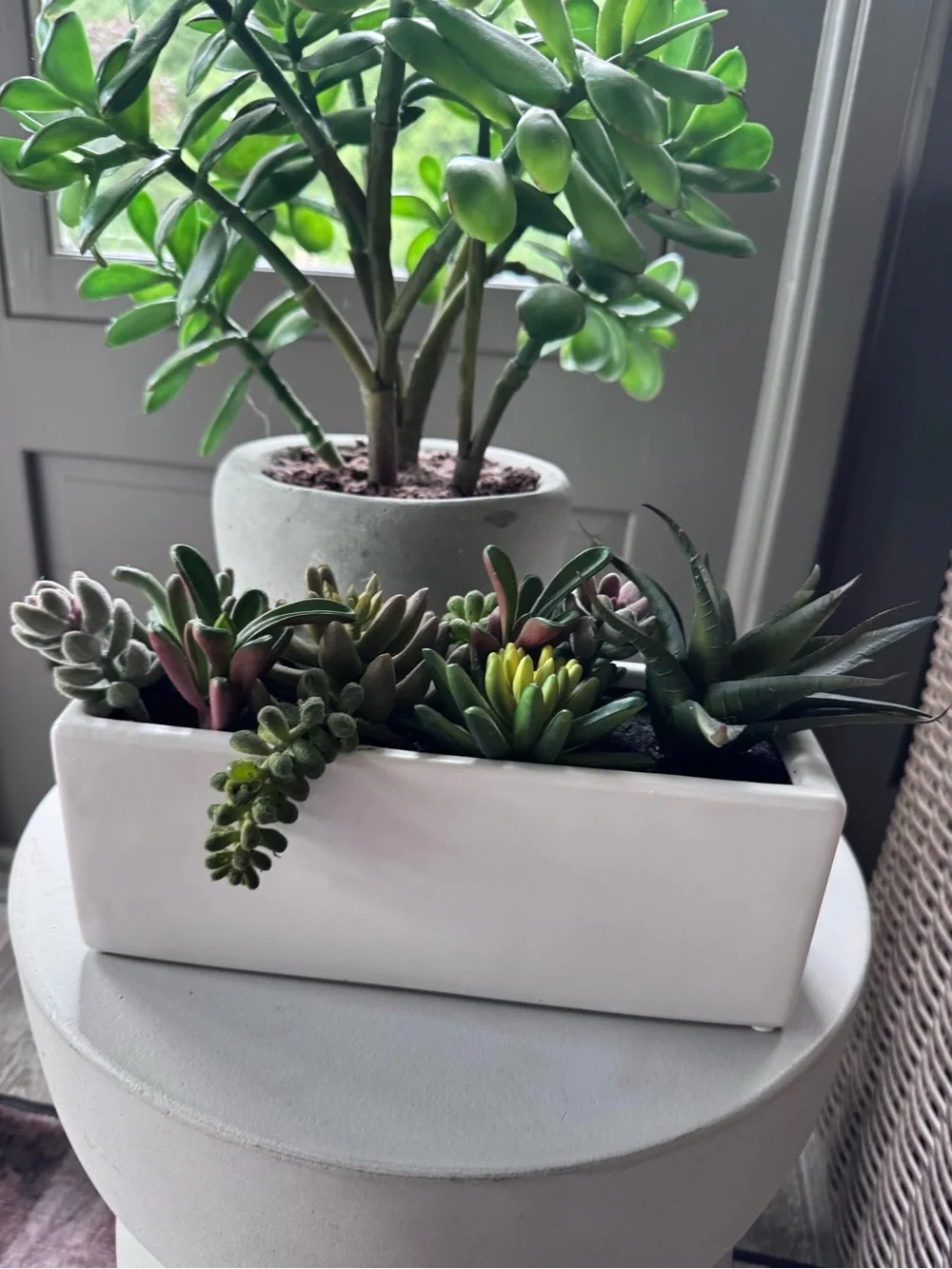 Faux Succulent Arrangement in White Rectangular Planter